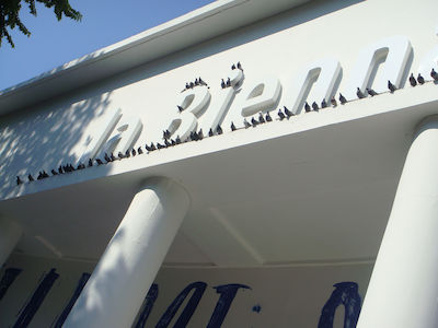 Viele Tauben saßen auf den Buchstaben eines weißen Gebäudes mit Säulen.