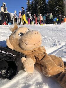 Ein Plüschaffe liegt auf schneebedecktem Boden, im Hintergrund sind Skifahrer und Bäume zu sehen.