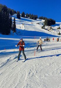 Skifahrer auf einem schneebedeckten Hang mit Bäumen und einem klaren blauen Himmel im Hintergrund.