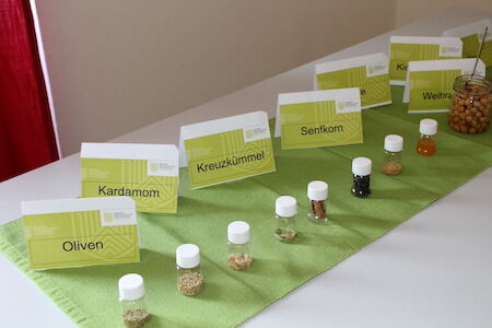 Kleine Gläser mit Gewürzen und Oliven mit deutscher Beschriftung auf einem grünen Tischläufer.