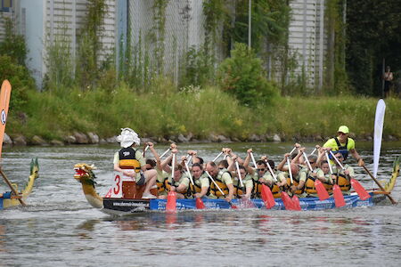 Ein Drachenbootteam paddelt während eines Rennens gemeinsam auf einem Fluss.