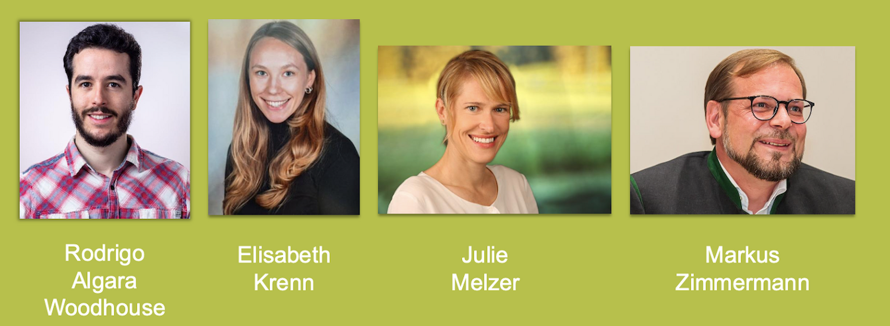 Profilbilder aller vier neuer Stammlehrender