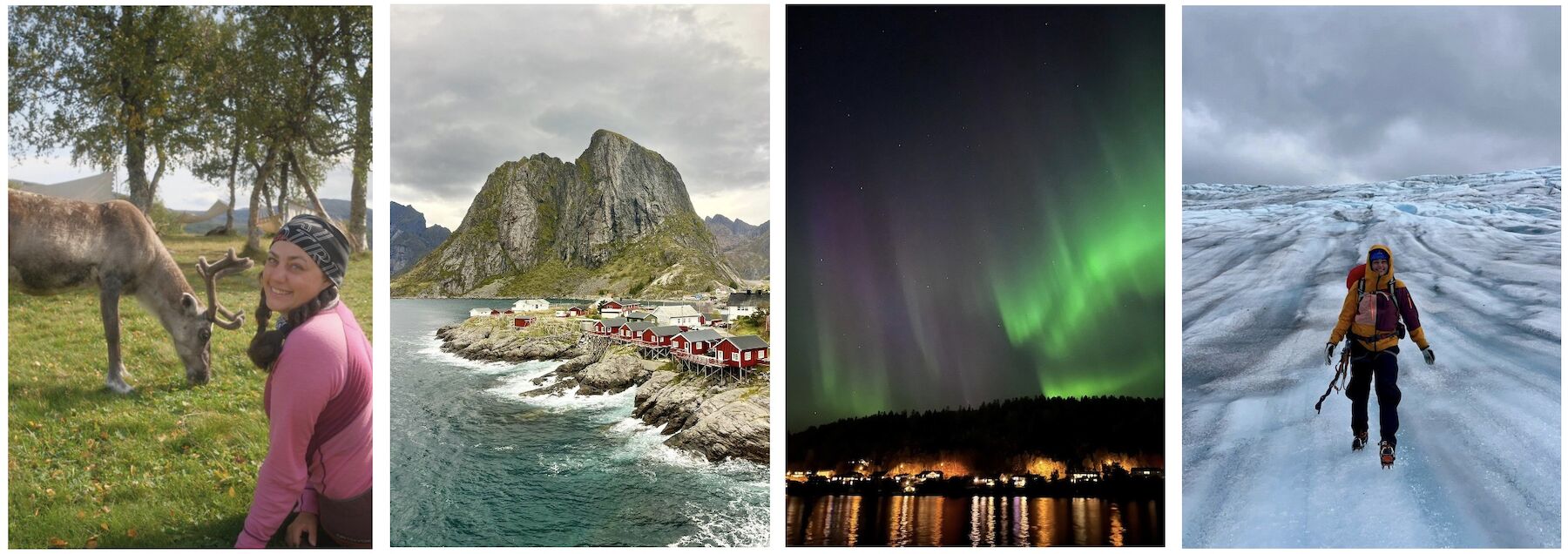 vierteiliges Bild: Studierende in Norwegen mit einem Elch, am Eis